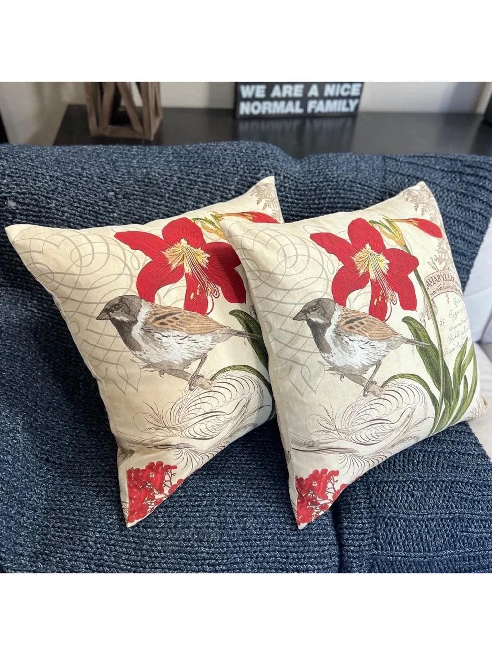 2 POTTERY BARN Amaryllis LINEN Cotton 24
